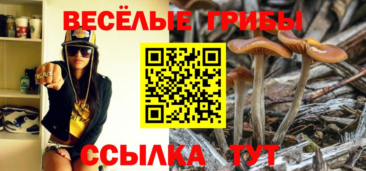 Галлюциногенные грибы Magic Shrooms Орск